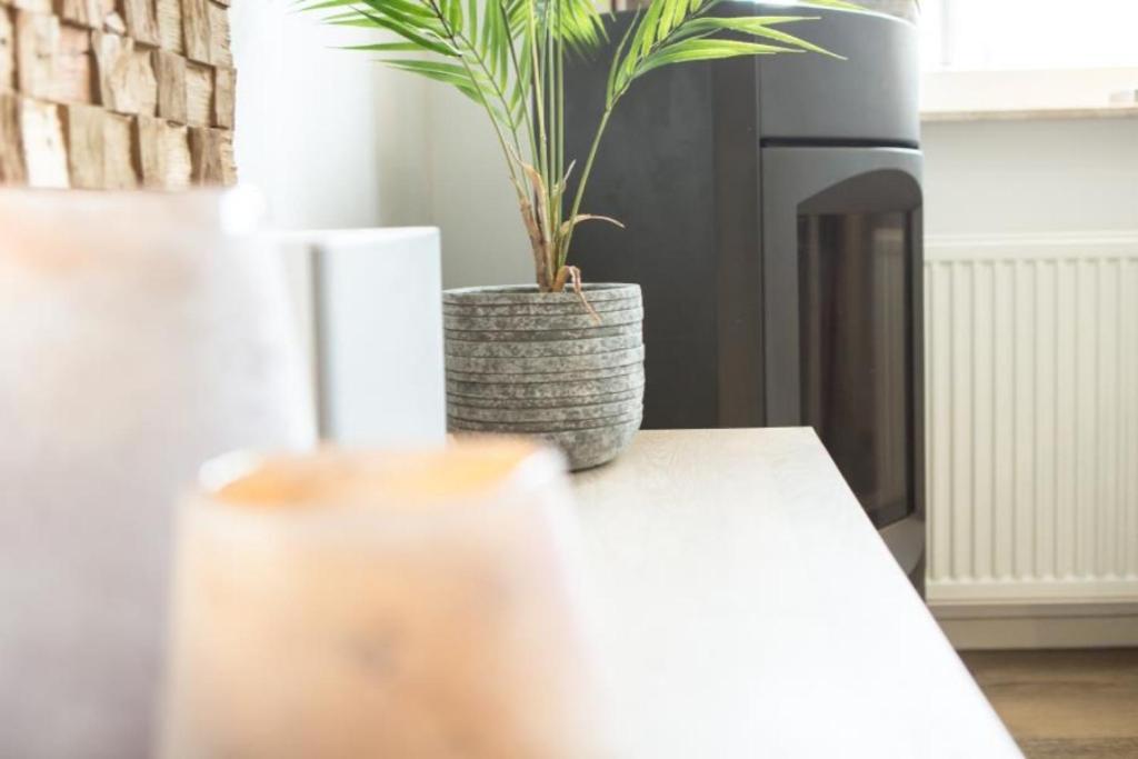 Weidevilla Xxl Hollum  Kültér fotó